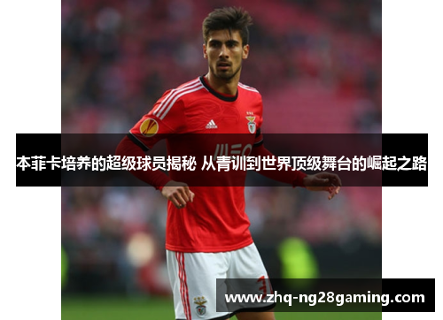 本菲卡培养的超级球员揭秘 从青训到世界顶级舞台的崛起之路