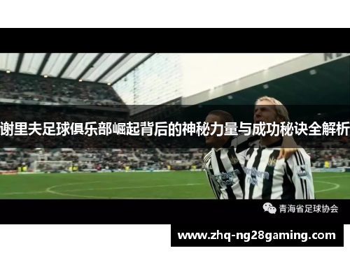 谢里夫足球俱乐部崛起背后的神秘力量与成功秘诀全解析 谢里夫足球俱乐部崛起背后的神秘力量与成功秘诀全解析