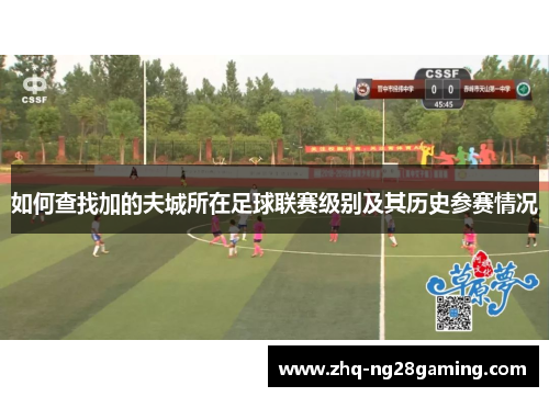 如何查找加的夫城所在足球联赛级别及其历史参赛情况 如何查找加的夫城所在足球联赛级别及其历史参赛情况