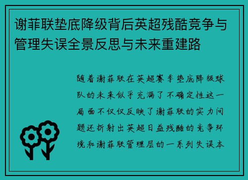 谢菲联垫底降级背后英超残酷竞争与管理失误全景反思与未来重建路