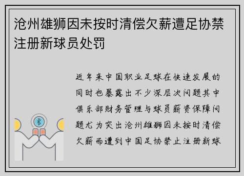 沧州雄狮因未按时清偿欠薪遭足协禁注册新球员处罚