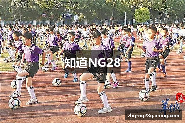 知道NG28